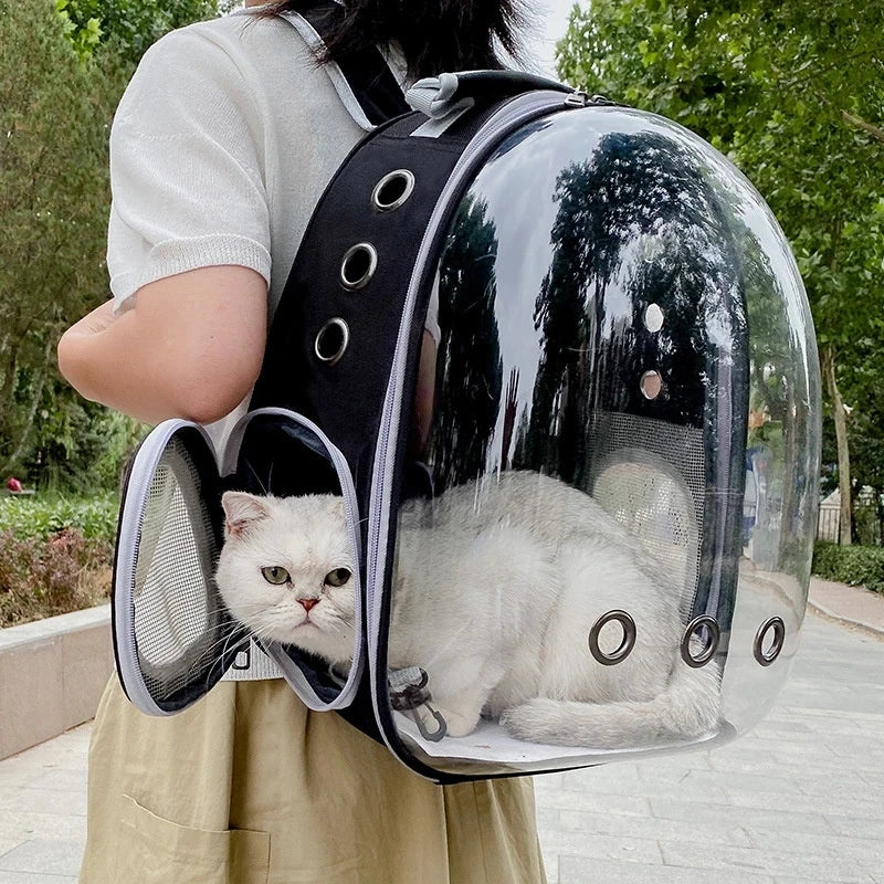 Sofia Cat  Bag - Bijoux Art