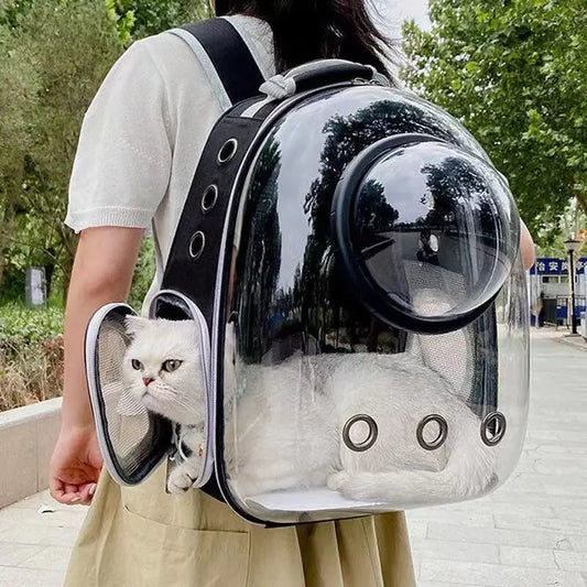 Sofia Cat  Bag - Bijoux Art